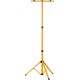 STAYER MAXStable, 1.6 м, телескопический штатив для 2х прожекторов (56922) STAYER MAXStable, 1.6 м, телескопический штатив для 2х прожекторов (56922)
