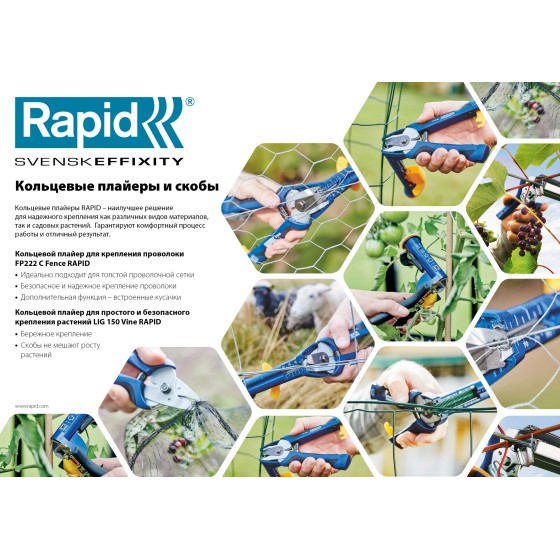 RAPID FP222, зеленые, VR22, 5 - 11 мм, 1600 шт, кольцевые профессиональные стальные скобы (40108811) RAPID FP222, зеленые, VR22, 5 - 11 мм, 1600 шт, кольцевые профессиональные стальные скобы (40108811)