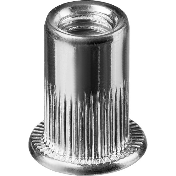KRAFTOOL Nut-S, М6, 500 шт, резьбовые заклепки стальные с насечками (311707-06) KRAFTOOL Nut-S, М6, 500 шт, резьбовые заклепки стальные с насечками (311707-06)