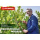 GRINDA GH-540, длина 540 мм, закаленные лезвия, антикор. покрытие, стальные рукоятки, кусторез (40253) GRINDA GH-540, длина 540 мм, закаленные лезвия, антикор. покрытие, стальные рукоятки, кусторез (40253)