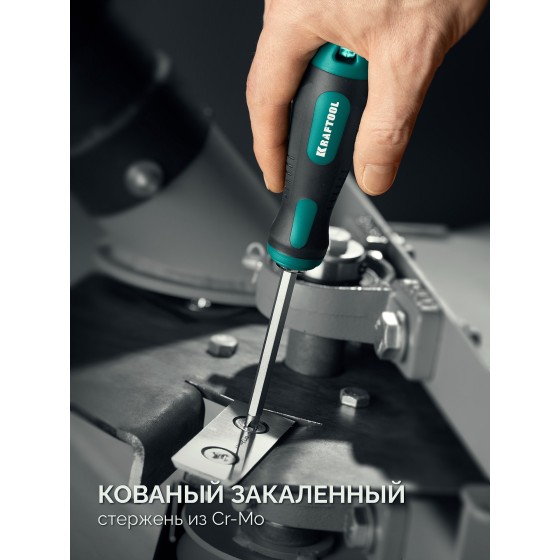 KRAFTOOL Universal-12, PH 0-1-2-3-4, PZ 1-2-3-4, SL 5, 6, 8 мм, 12-в-1, универсальная переставная отвертка с двусторонним стержнем (26168) KRAFTOOL Universal-12, PH 0-1-2-3-4, PZ 1-2-3-4, SL 5, 6, 8 мм, 12-в-1, универсальная переставная отвертка с двусторонним стержнем (26168)