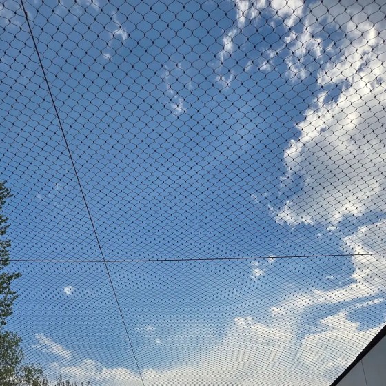 Сетка тросовая С-2-100 ⌀2мм оцинкованная, ячейка 100×100 мм, 5×10 м (50 м²), защитная антидроновая
