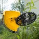 Триммер бензиновый DT 33, 33 см3, 1.8 л. с, неразъемная штанга, состоит из 2 частей Denzel 96222