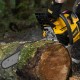 Пила цепная бензиновая DS-4516, шина 40 см, 45 см3, 2,5 л.с, шаг 0,325, паз 1,5 мм, 64 звена Denzel 95236