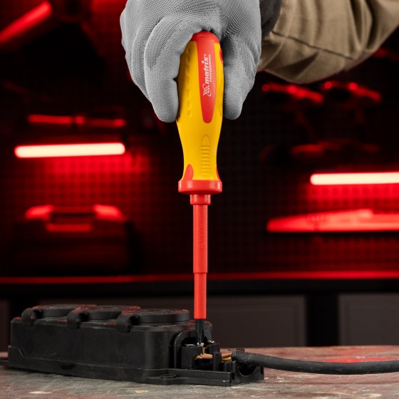 Отвертка Insulated, PH2 x 100 мм, CrMo, до 1000 В, двухкомпонентная рукоятка Matrix Professional 12928 Отвертка Insulated, PH2 x 100 мм, CrMo, до 1000 В, двухкомпонентная рукоятка Matrix Professional 12928