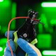 Щипцы для зачистки электропроводов сечением: 0.8, 2.0, 3.5, 5.5, 8.0 мм2 Сибртех 17732 Щипцы для зачистки электропроводов сечением: 0.8, 2.0, 3.5, 5.5, 8.0 мм2 Сибртех 17732