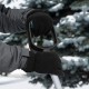 Перчатки универсальные, двойные, ПВХ нанесение, размер 9 Denzel 68096